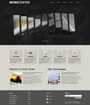 攻击网站服务器